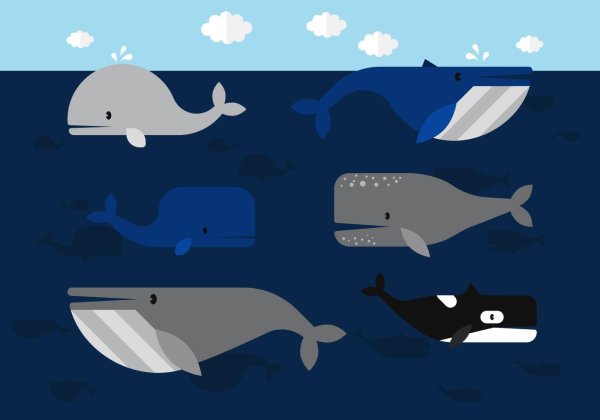 Кит сбоку вектор