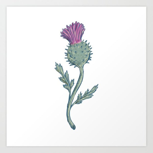 Чертополох ГИСАНЕ