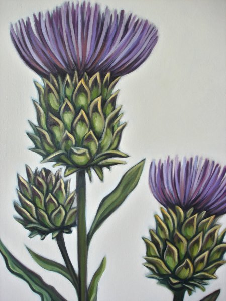 Чертополох цветок акрил