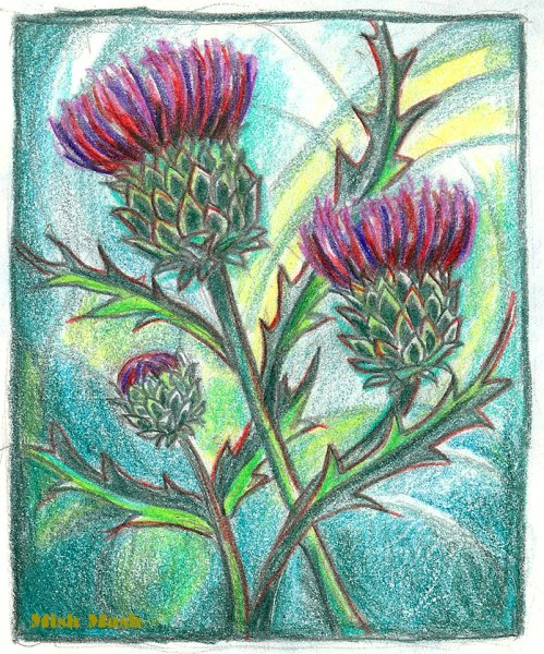 Чертополох картина Марченко