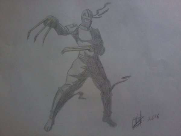 Шедоу файт 2