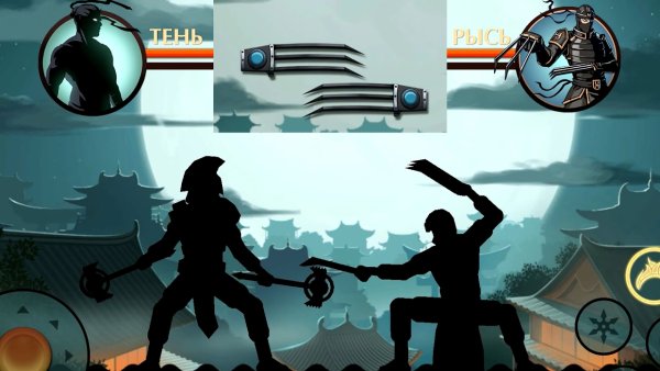 Шедоу файт ниндзя