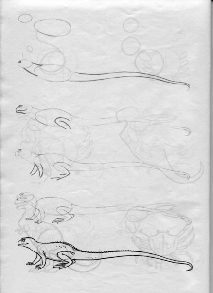 Поэтапное рисование ящерицы