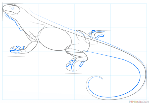 Игуана для срисовки