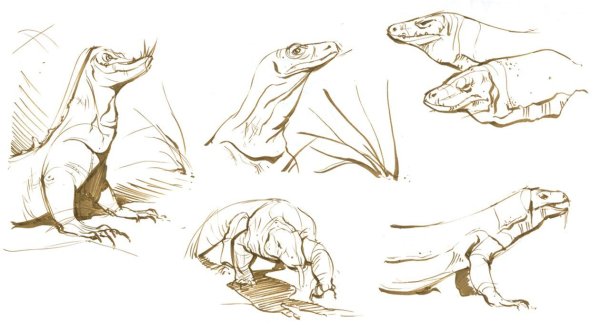 Варан рисунок легкий