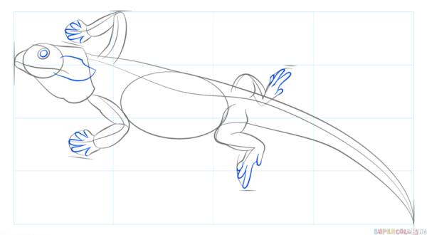 Этапы рисования ящериц