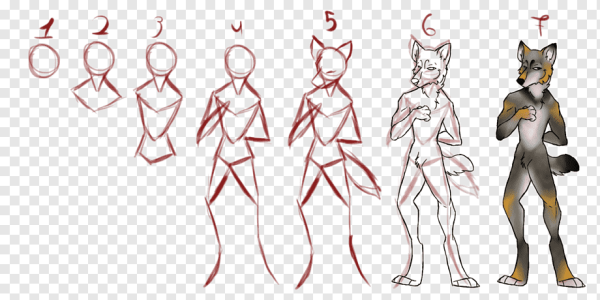 Анатомия фурри для рисования