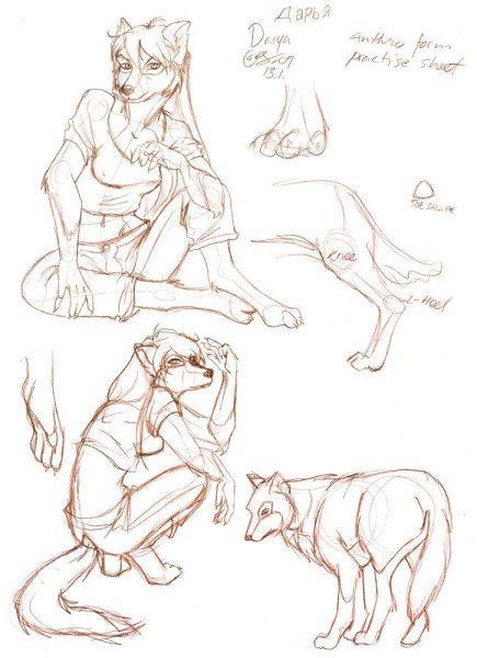 Скетч Наброски фурри