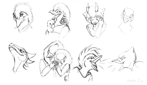 Фурри анатомия головы