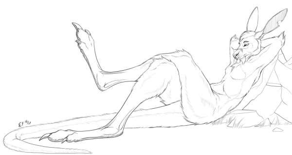 Кенгуру референс