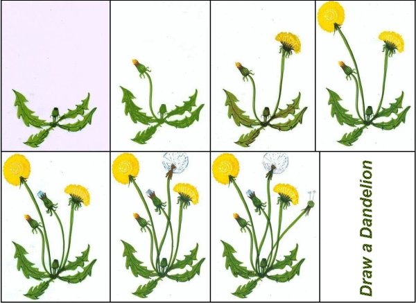 Трава эскиз