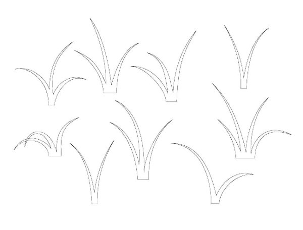 Зарисовки с натуры и по памяти отдельных травянистых растений