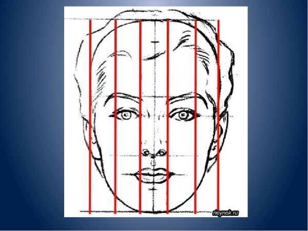 Пошаговое рисование фигуры человека