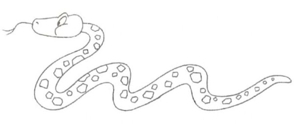 Змеи для срисовки