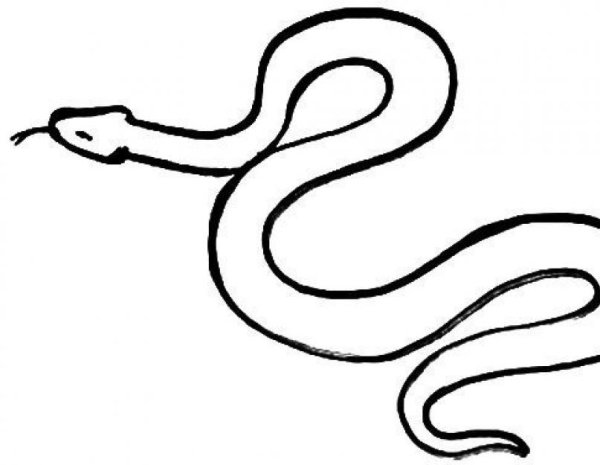 Уж рисунок карандашом