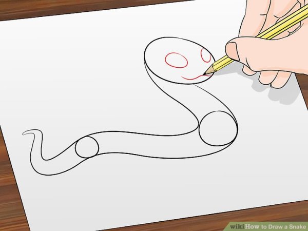 Пошаговое рисование кобры