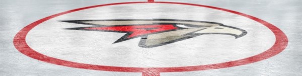 Хоккейные обои Авангард