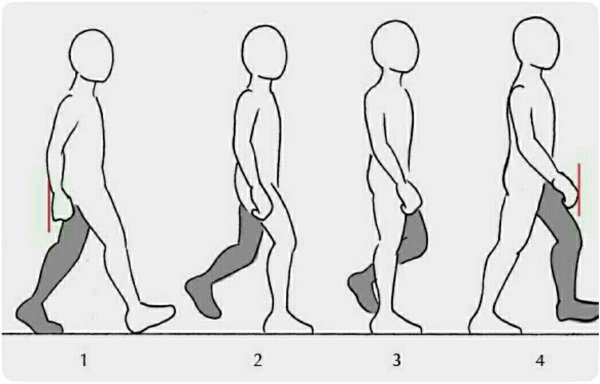 Анимация ходьбы вид сбоку