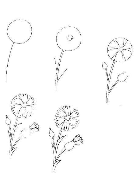 Рисование цветов для дошкольников