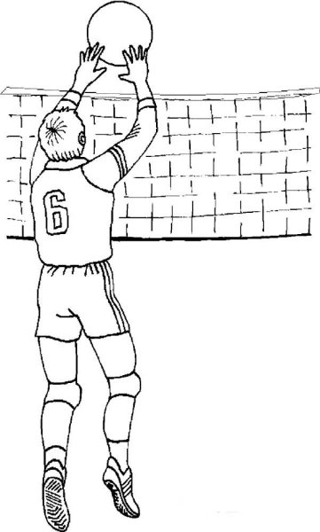 Раскраска на тему волейбол