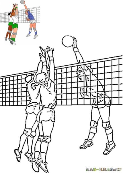 Волейбол раскраска