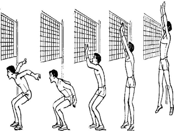 Прием нападающего удара в волейболе
