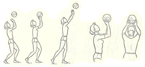 Прием и передача мяча сверху двумя руками волейбол
