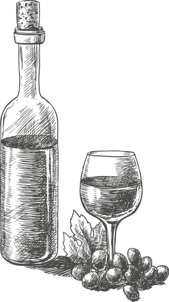 Вино зарисовка