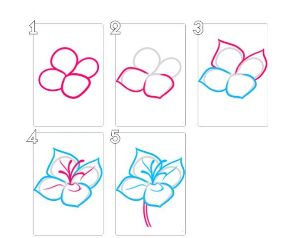 Схемы цветов карандашом