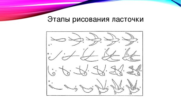 Ухо поэтапно