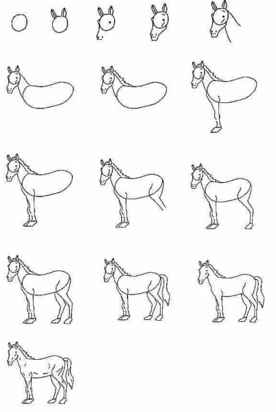 Как нарисовать оленя поэтапно
