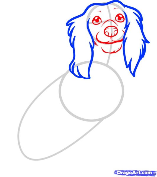 Рисунок кокер спаниеля пошагово