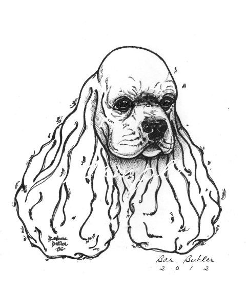 Американский кокер спаниель рисунок