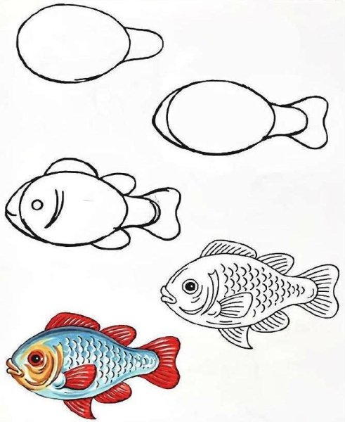 Последовательное рисование для детей