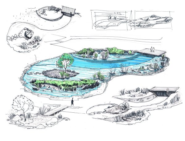 Проект пруда