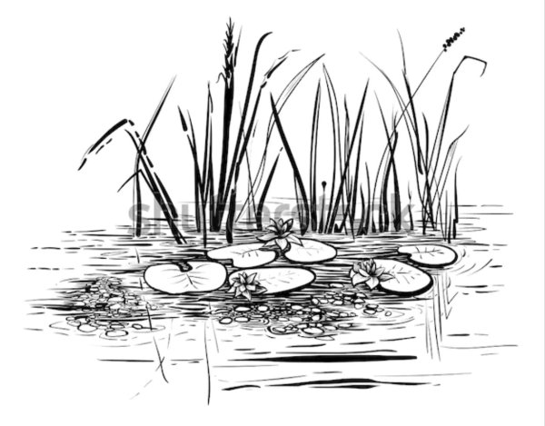 Трафарет водоема