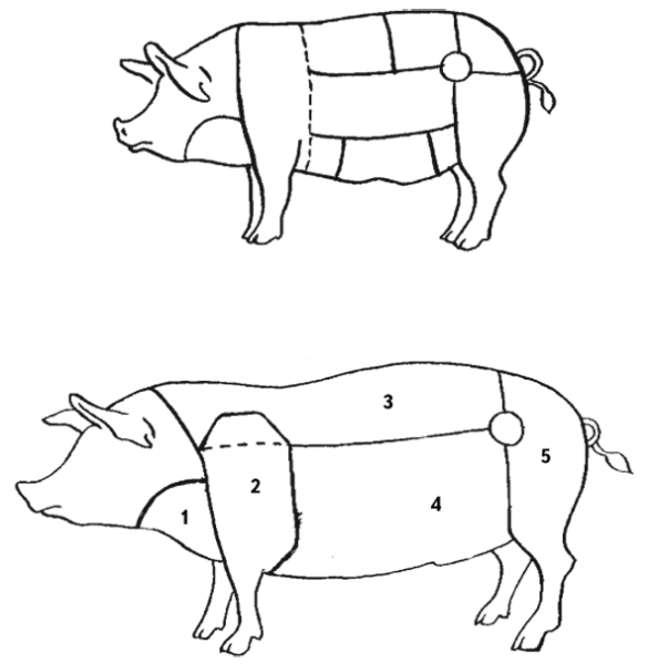 Разделка туши свиньи схема