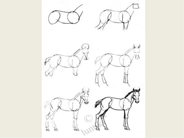Рисование лошади 4 класс