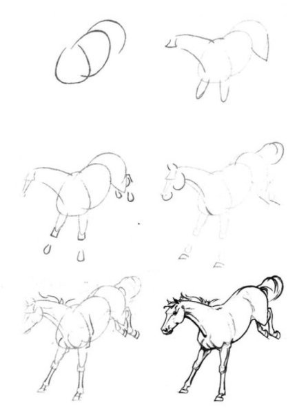 Пошаговое рисование лошади