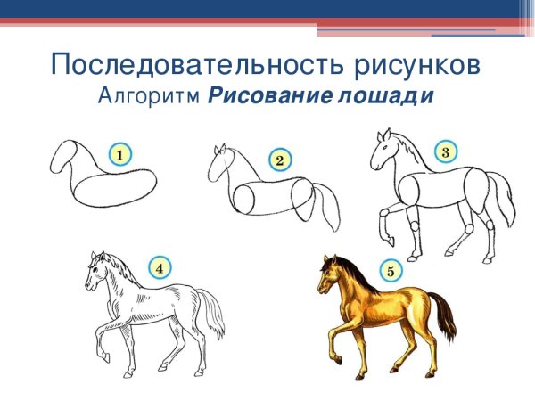 Поэтапное рисование насекомых