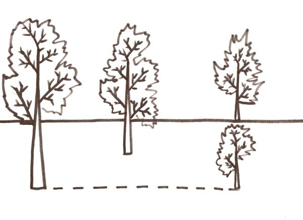 Линия горизонта в рисовании для детей