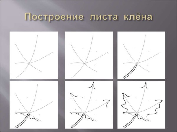 Поэтапное рисование листа