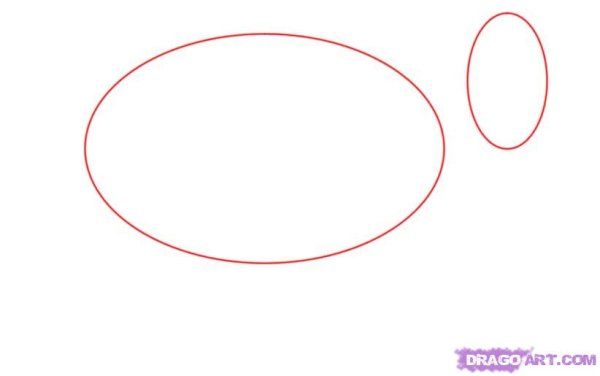 Как нарисовать тушканчика поэтапно карандашом для начинающих