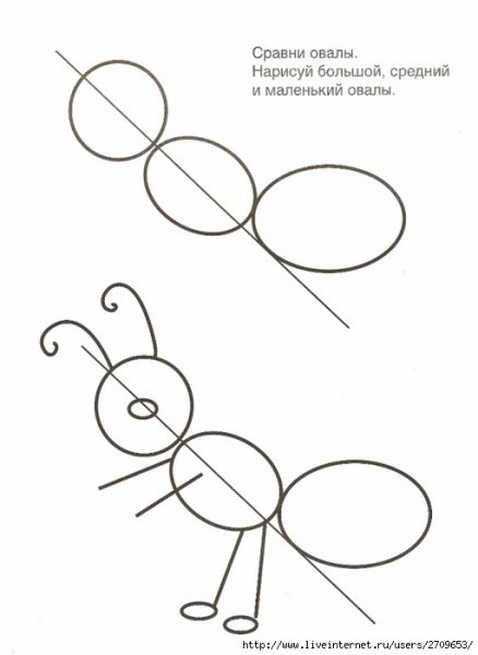 Схема рисования насекомых для дошкольников