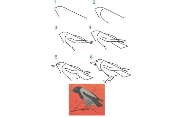 Поэтапное рисование ворона