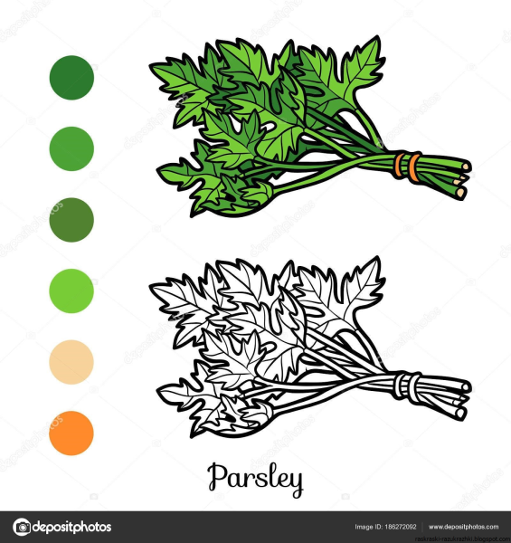 Петрушка для раскрашивания