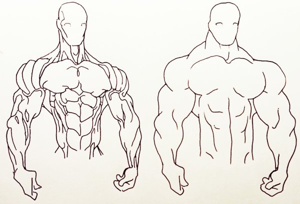 Нарисованный бодибилдинг