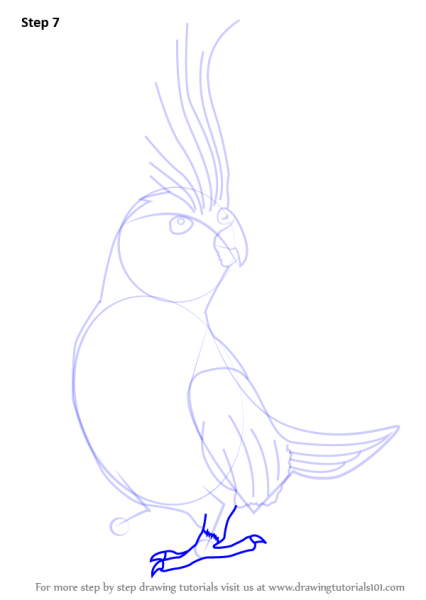 Поэтапное рисование попугая для детей