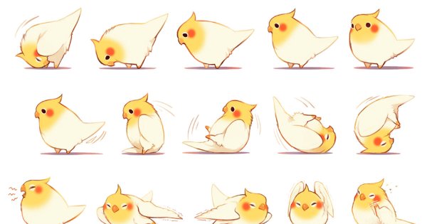 Попугай корелла референс