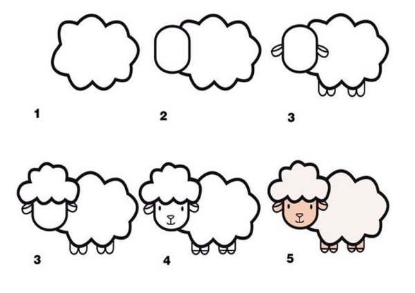 Овца поэтапное рисование